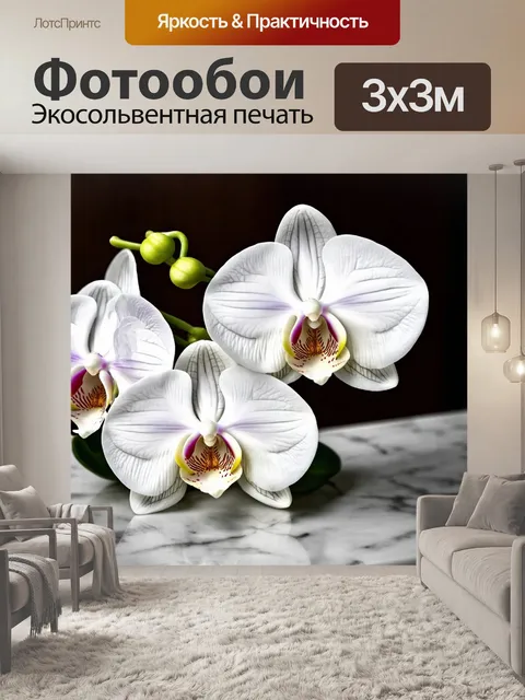 Фотообои нежные белые орхидеи на мраморном столе