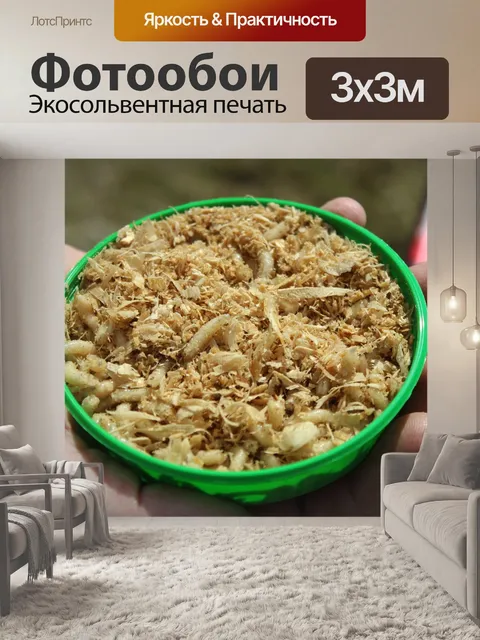 Фотообои Черви