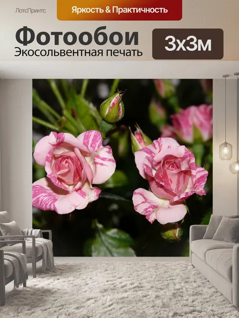 Фотообои Розы