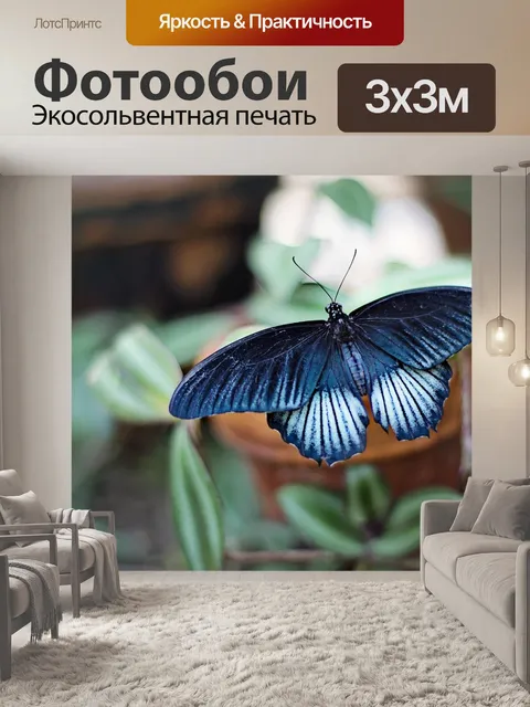 Фотообои Бабочка