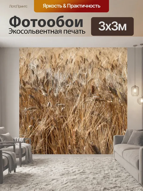 Фотообои Зерно