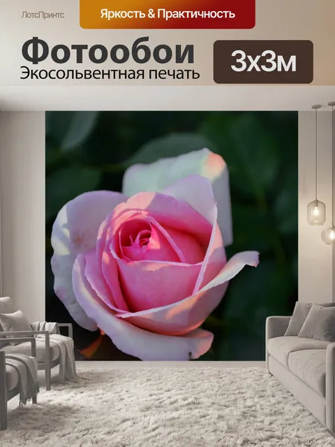 Фотообои Роза