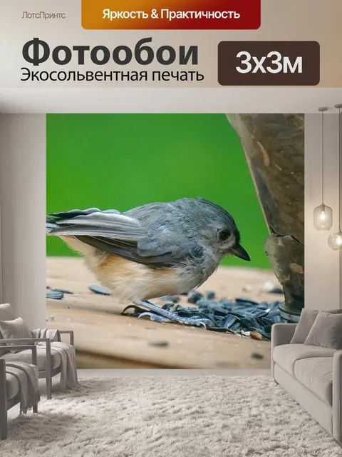 Фотообои Птица