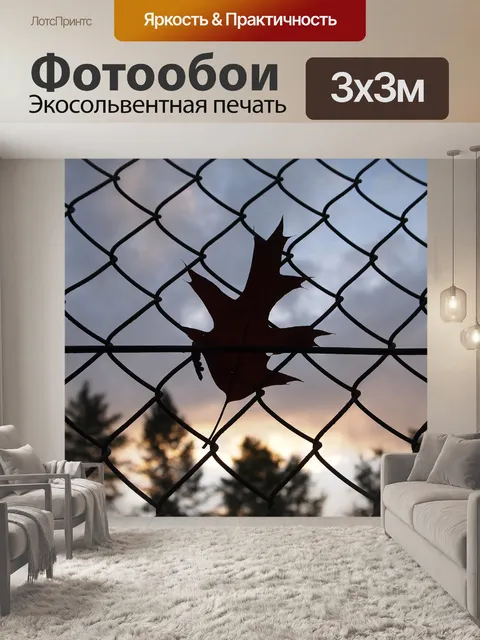 Фотообои Ветер