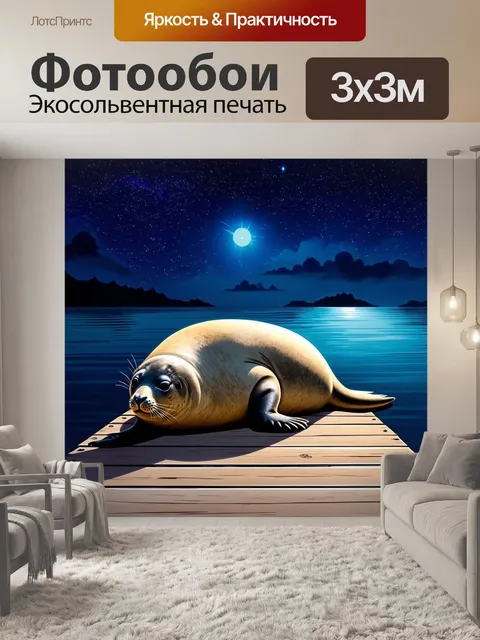 Фотообои тюлень, мирно спящий на набережной, с звёздным небом над головой