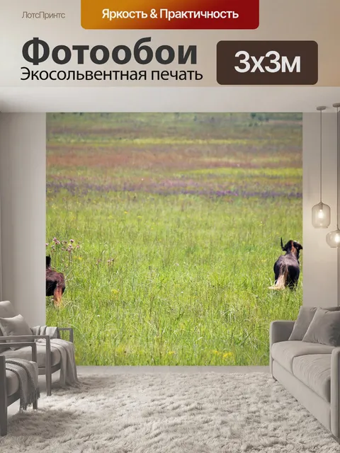 Фотообои черный гну на зеленых лугах