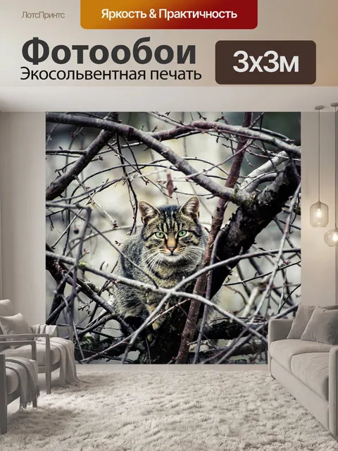 Фотообои Кошка