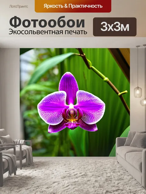 Фотообои орхидея, окруженная звуками природы