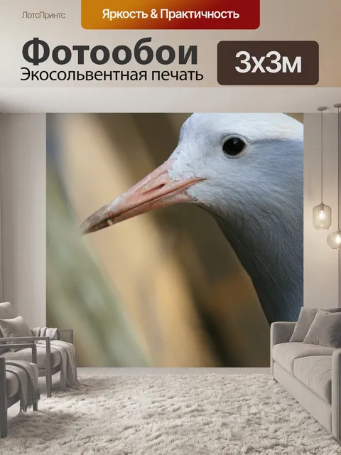 Фотообои Птица синий кран