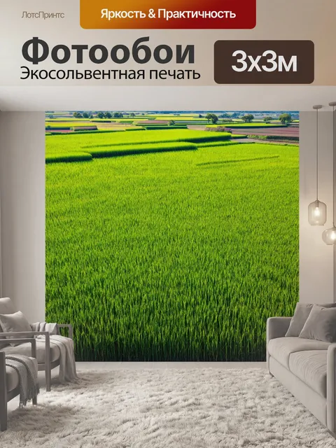 Фотообои пейзаж в стиле японская тушь, вдаль уходящие рисовые поля, игра света и теней на текстуре земли