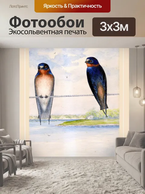 Фотообои Ласточки птицы винтаж арт
