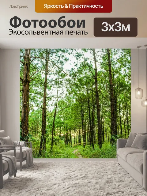 Фотообои Национальный парк Фуруа, Лоэй Таиланд