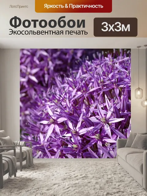 Фотообои Фиолетовый