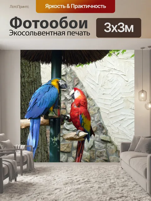 Фотообои Попугаи