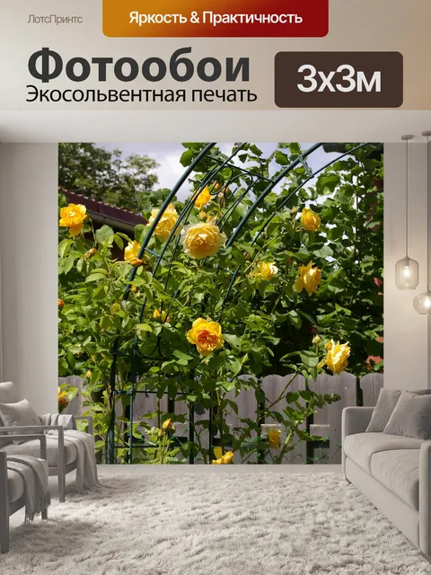 Фотообои Розовая арка