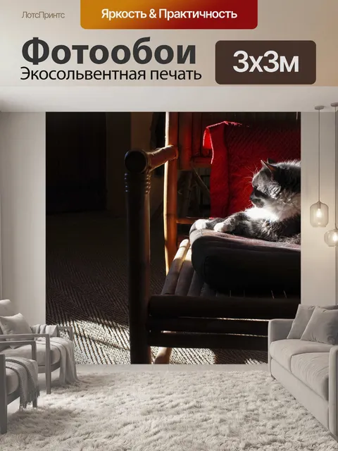 Фотообои Кошка