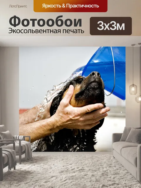Фотообои Ротвейлер
