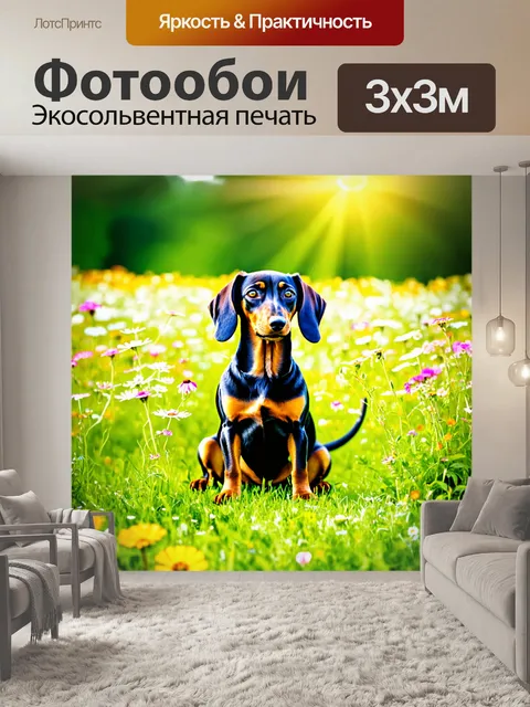 Фотообои такса, сидящая на зеленом лугу под ярким солнечным светом, окруженная дикими цветами