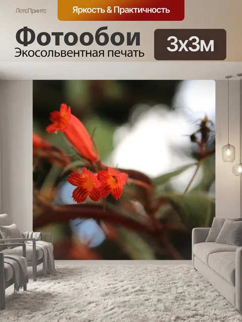 Фотообои Дикий Оранжевый Цветок