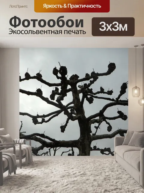 Фотообои Платан