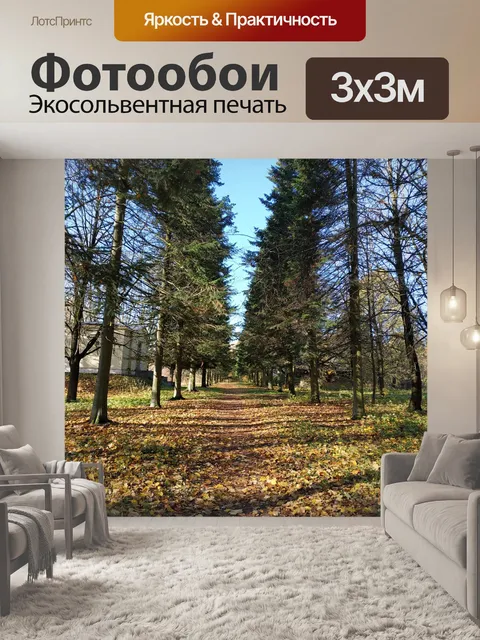 Фотообои Парк