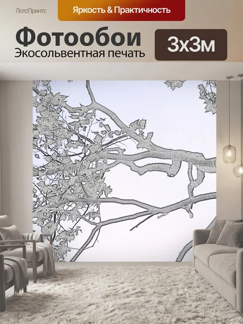 Фотообои филиал с листьями рисования линий