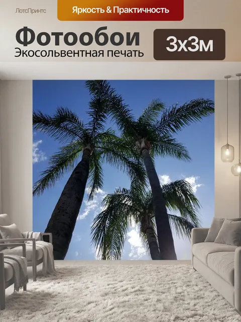Фотообои Калифорнийские пальмовые деревья
