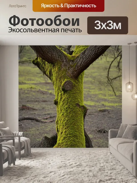 Фотообои дерево с характерной корой