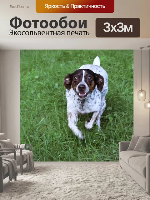 Фотообои Картина счастливой Собака работает