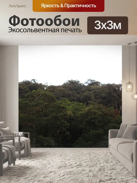 Фотообои Коста-Рика Джунгли Форест