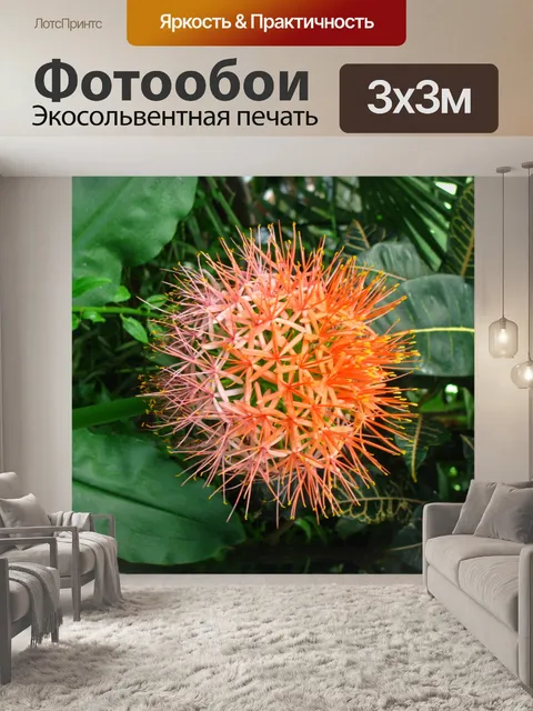 Фотообои Тропический цветок