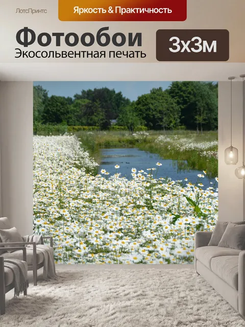 Фотообои Полевые цветы