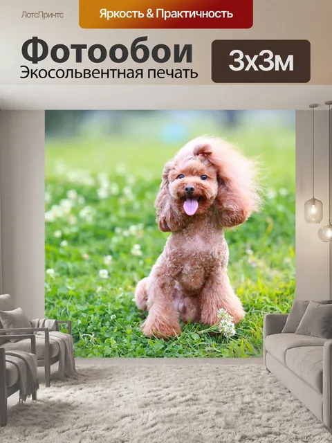 Фотообои Лужайка