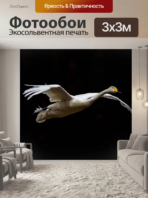 Фотообои Животное