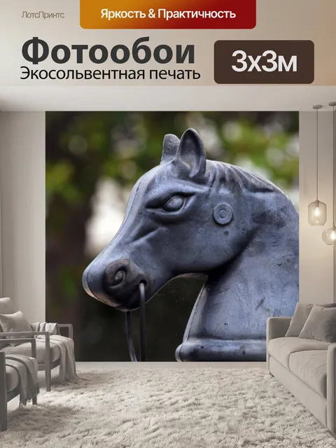 Фотообои Металлические Верховая Глава