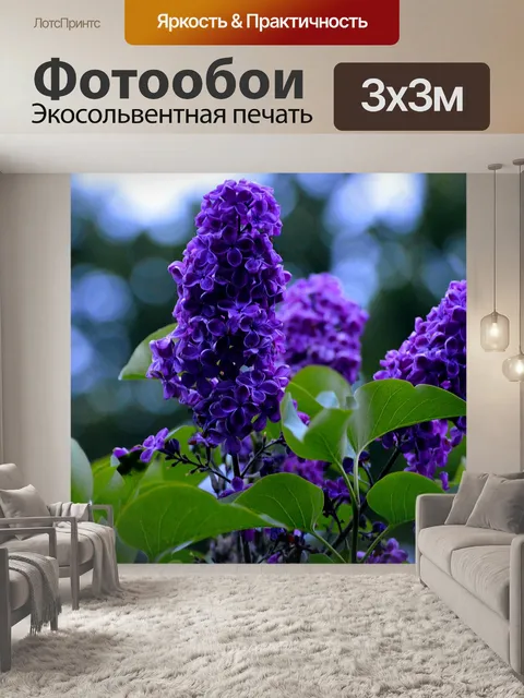 Фотообои Фиолетовый