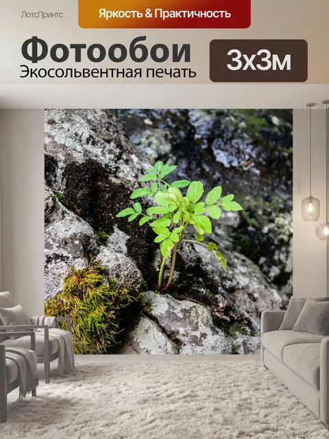 Фотообои Трава