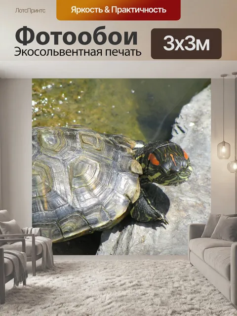 Фотообои Черепаха