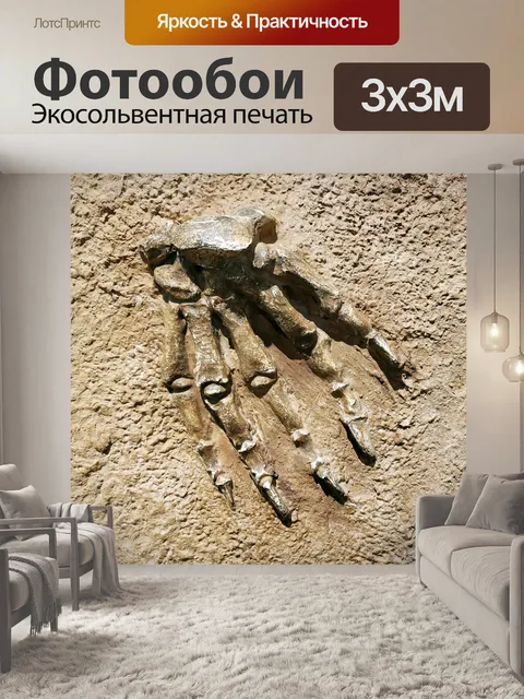 Фотообои Ископаемые Лапы