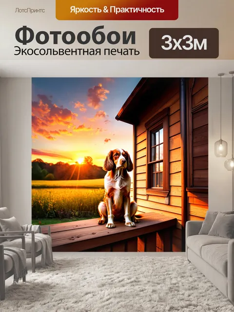 Фотообои кокер-спаниель, сидящий на террасе старинного дома, наблюдающий за закатом
