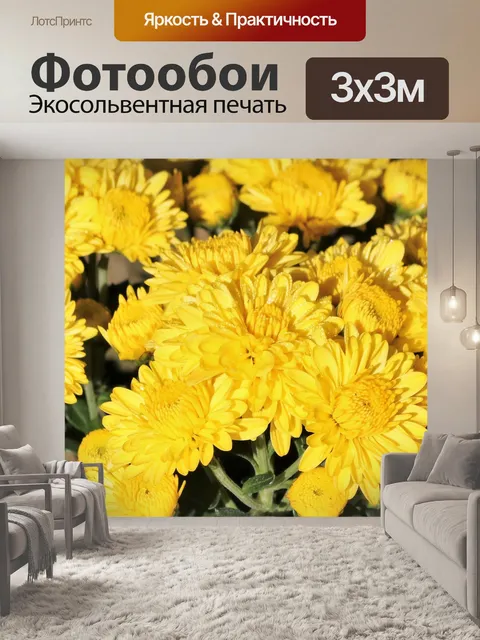 Фотообои Желтые хризантемы и роса