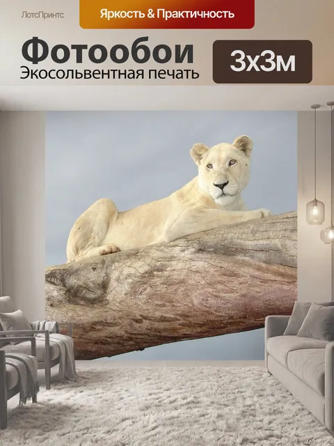 Фотообои Белый лев
