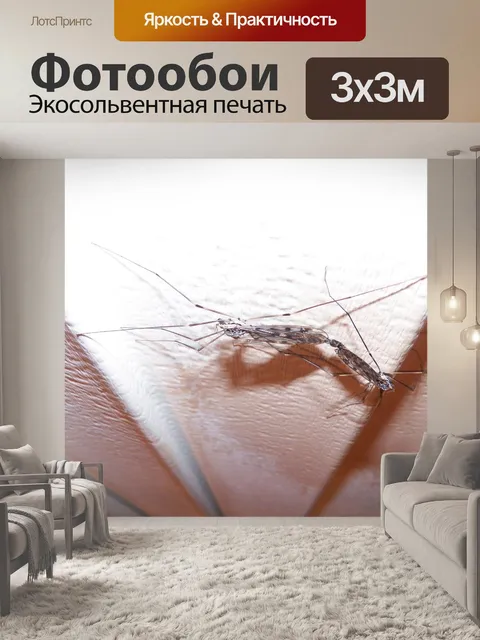 Фотообои Насекомые спаривания