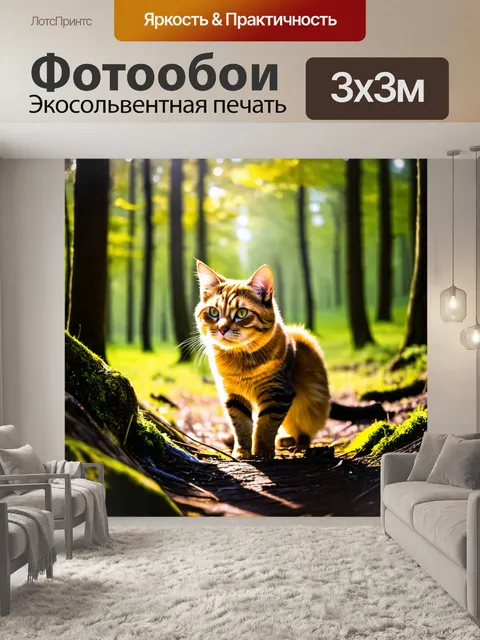 Фотообои кошка, исследующая лес в солнечном свете