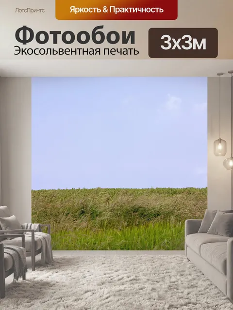 Фотообои Небо и Трава Пейзаж