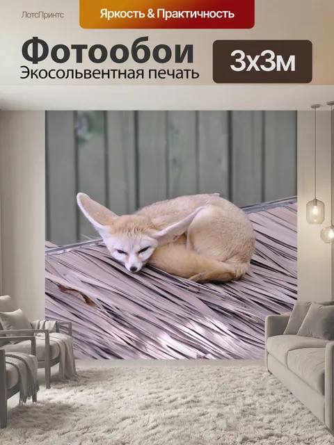 Фотообои Пустынная лиса