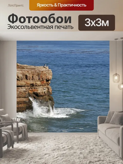 Фотообои Чайки на океан Ledge