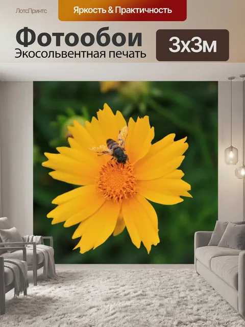 Фотообои Пчела на желтые ромашки 2