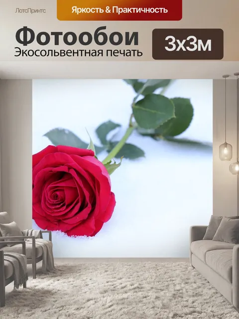 Фотообои Красная роза в снегу