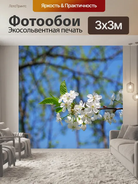 Фотообои Цветение вишни